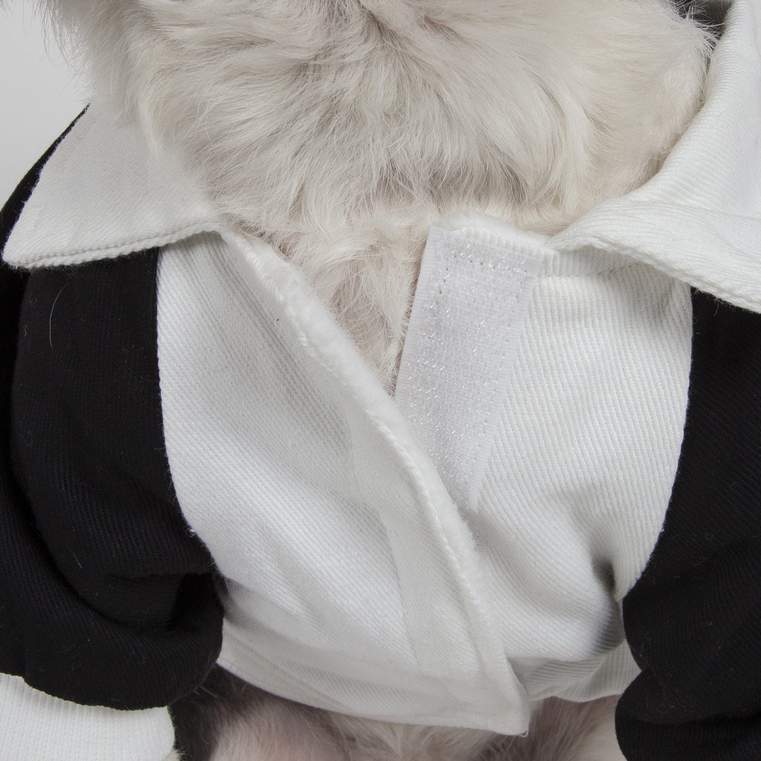 Varsity-Barkcity Buckled Collared Dog Coat Jacket