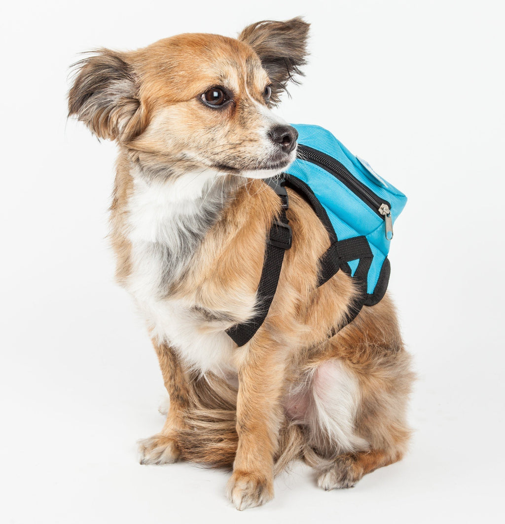 Waggler Hobbler Large-Pocketed Animated Fashion Dog Harness Backpack