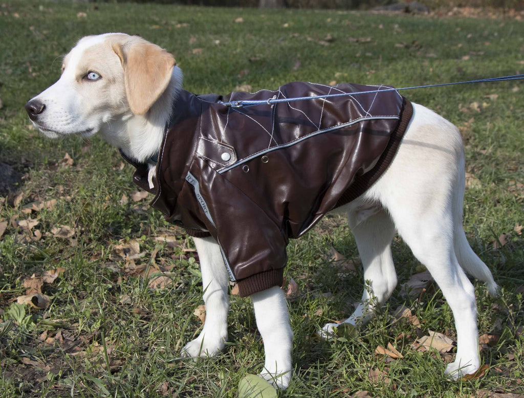 Wuff-Rider Fashion Suede Stitched Dog Jacket