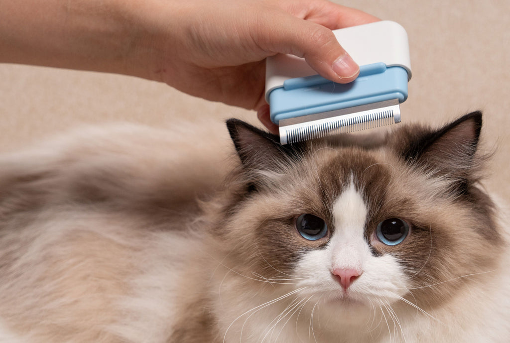 Zipocket 2-in-1 Travel Grooming Pet Comb