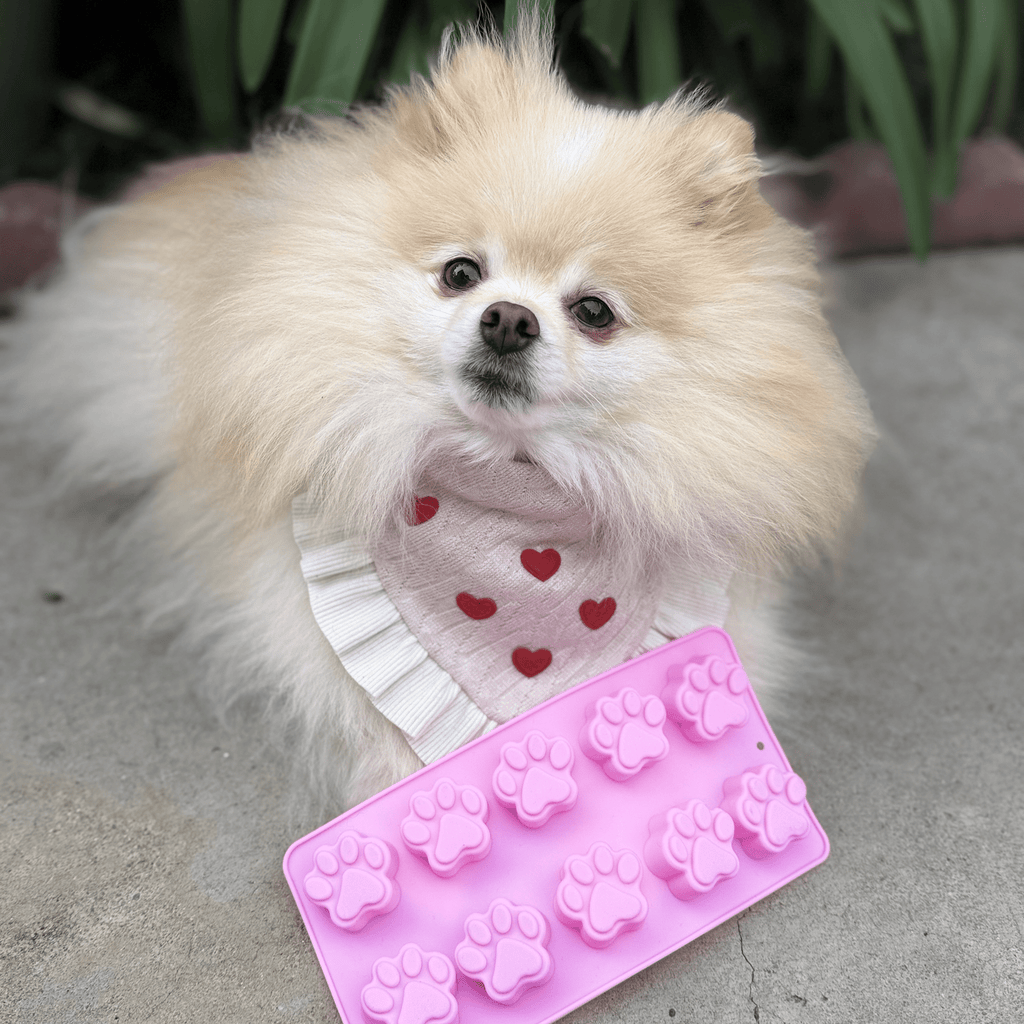 Farm to Pet Cat & Dog Treat Molds - Multiple Colors