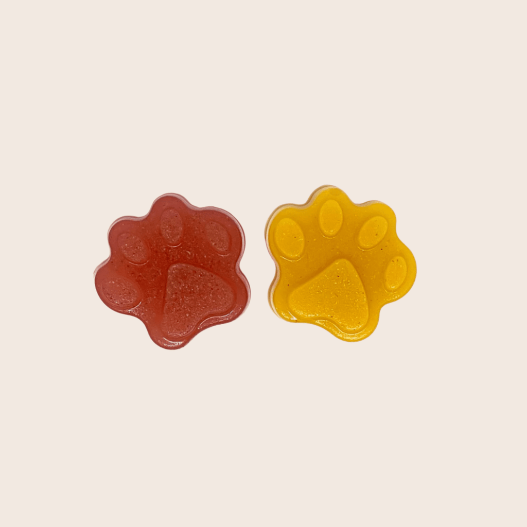 Farm to Pet Cat & Dog Treat Molds - Multiple Colors