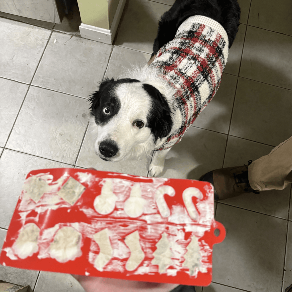 Farm to Pet Cat & Dog Treat Molds - Multiple Colors
