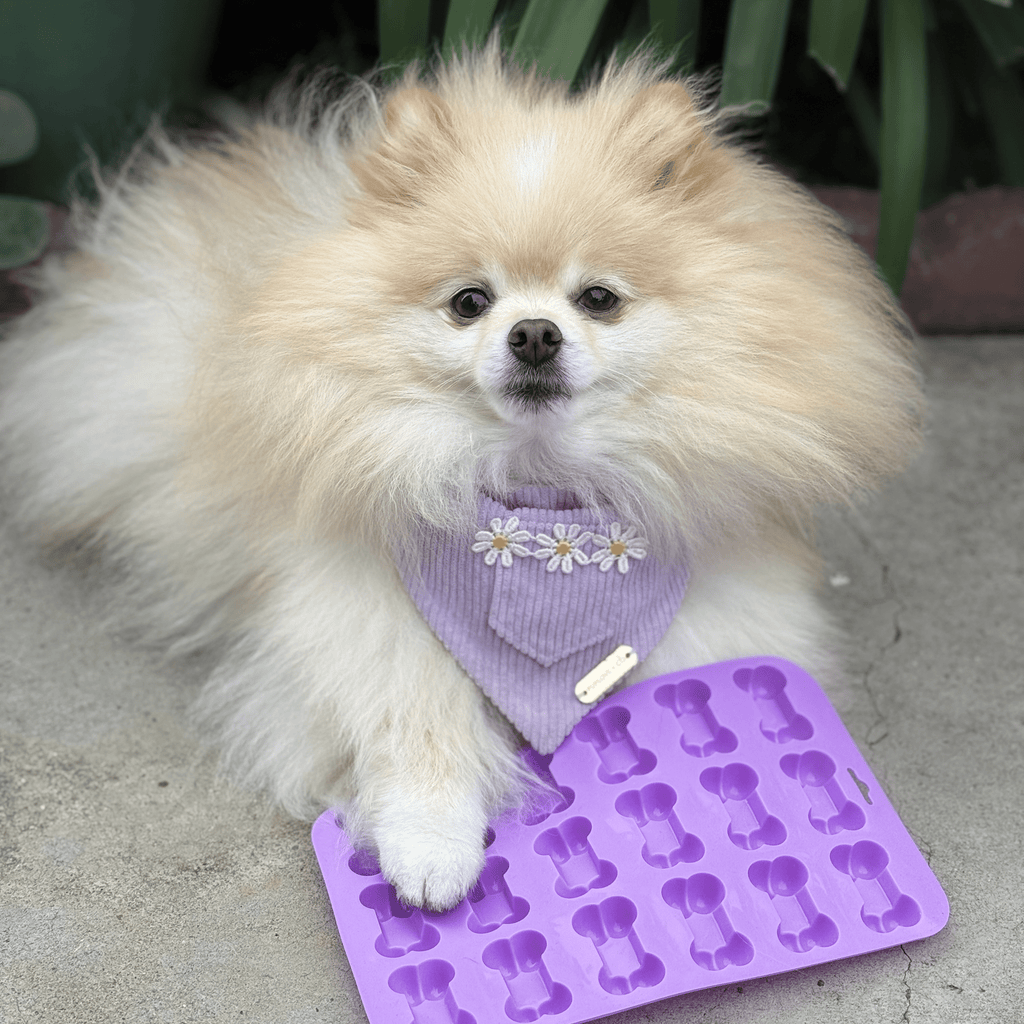 Farm to Pet Cat & Dog Treat Molds - Multiple Colors