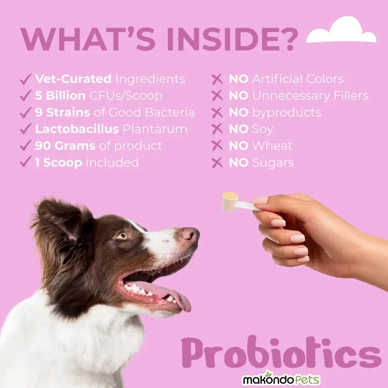 Probiotics for Dogs and Puppies – 90 Scoops