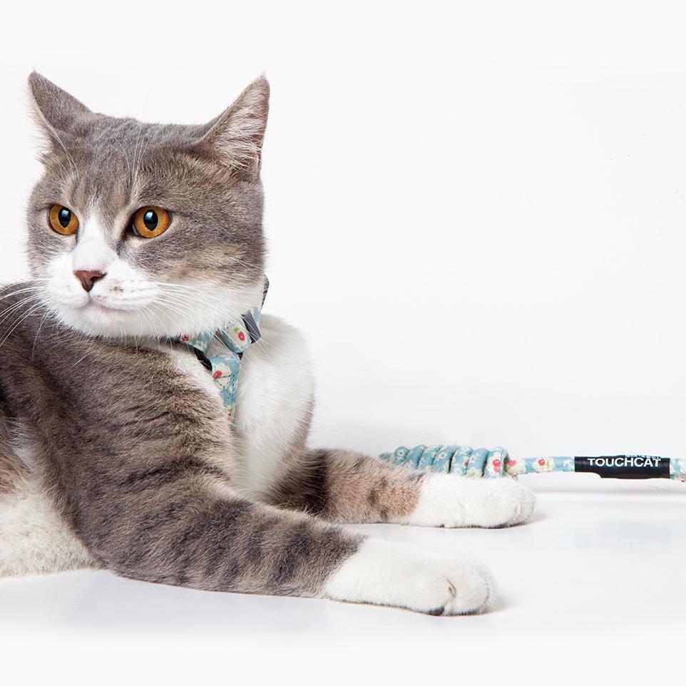 Radi-Claw Durable Cable Cat Harness and Leash Combo