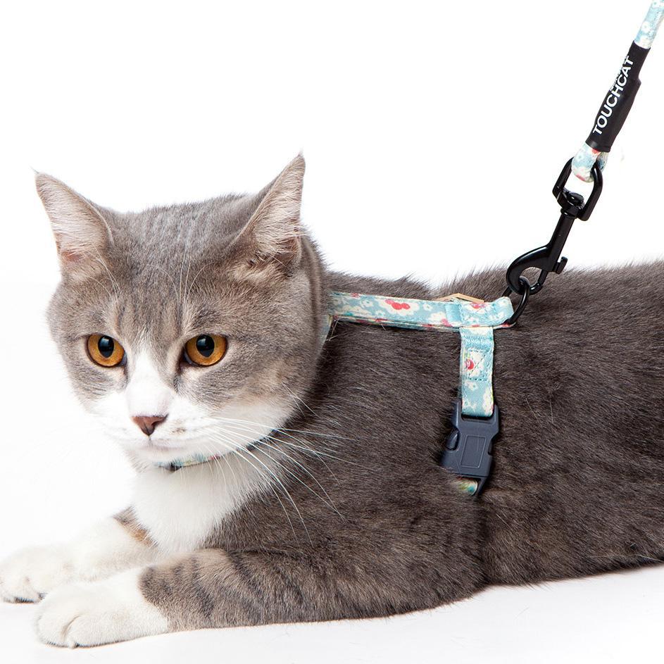 Radi-Claw Durable Cable Cat Harness and Leash Combo