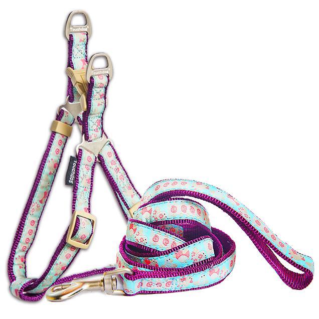 Avery Patterned Tough Stitched Dog Harness and Leash