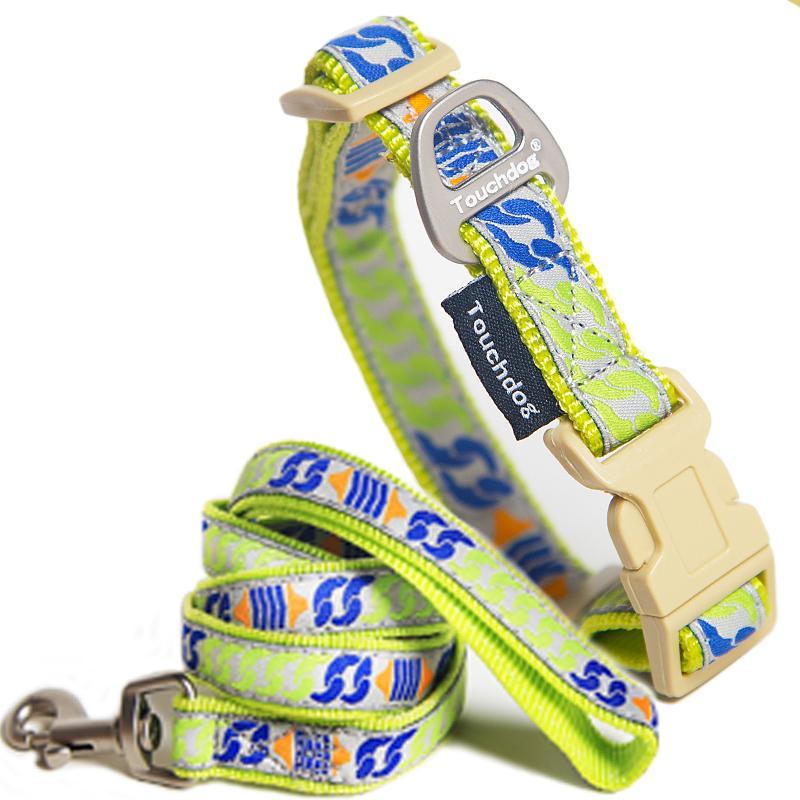 Chain Printed Tough Stitched Embroidered Collar and Leash