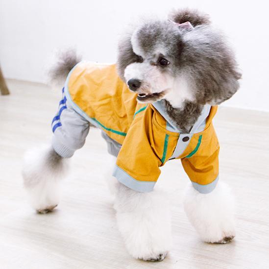 Cloudburst Reversible Fashion Waterproof Dog Raincoat