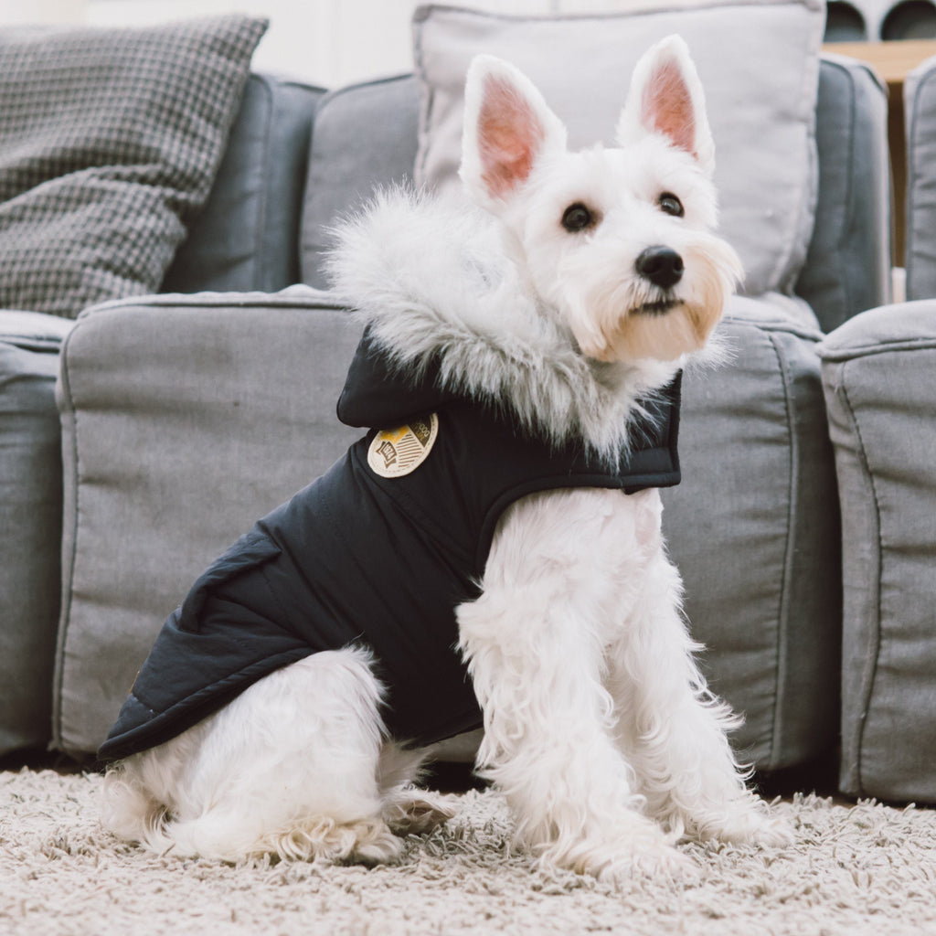 Eskimo-Swag Duck-Down Insulated Winter Dog Coat Parka
