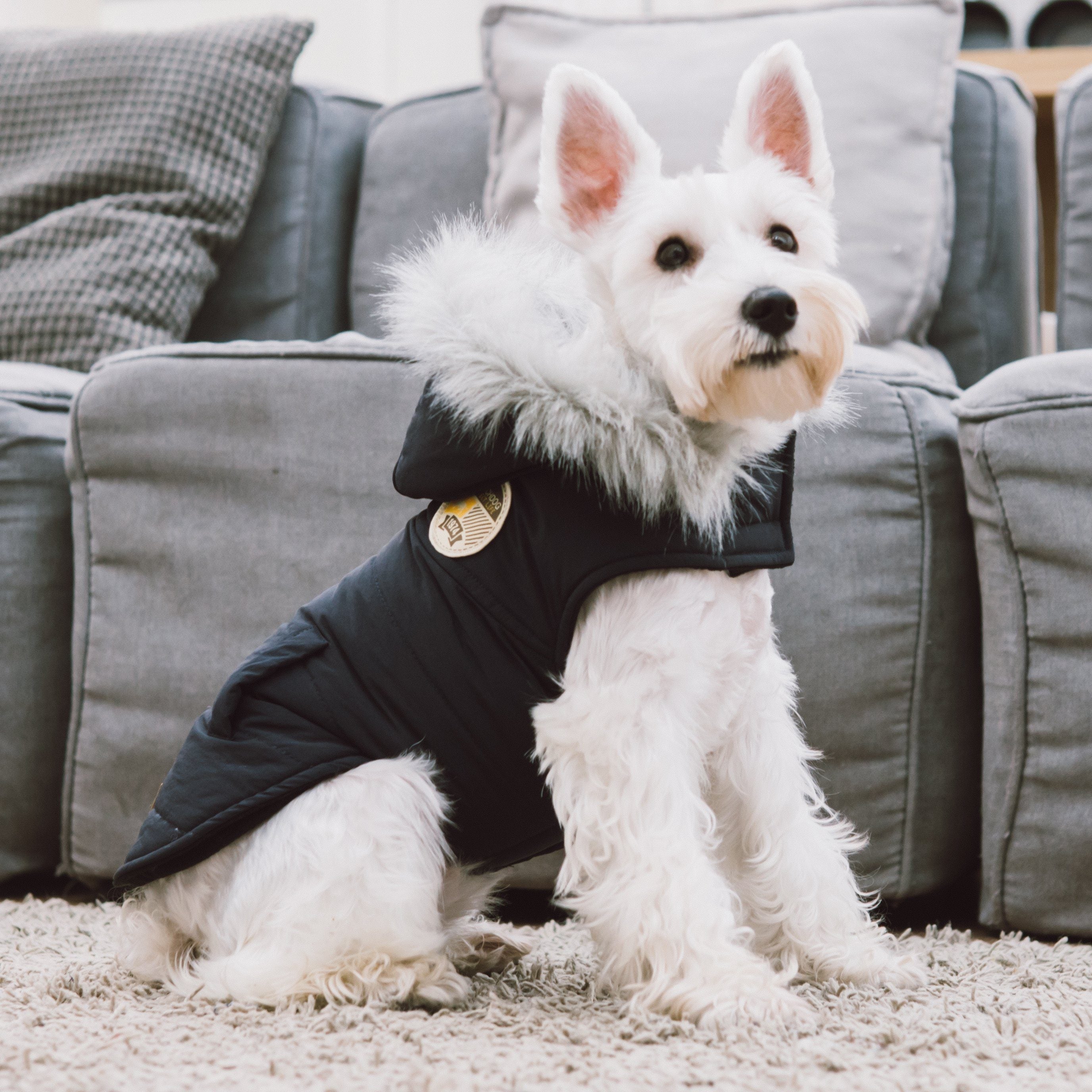Eskimo-Swag Duck-Down Insulated Winter Dog Coat Parka