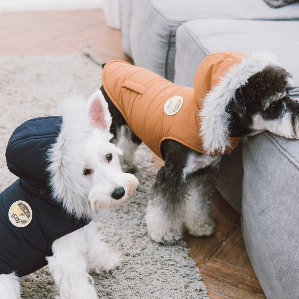 Eskimo-Swag Duck-Down Insulated Winter Dog Coat Parka