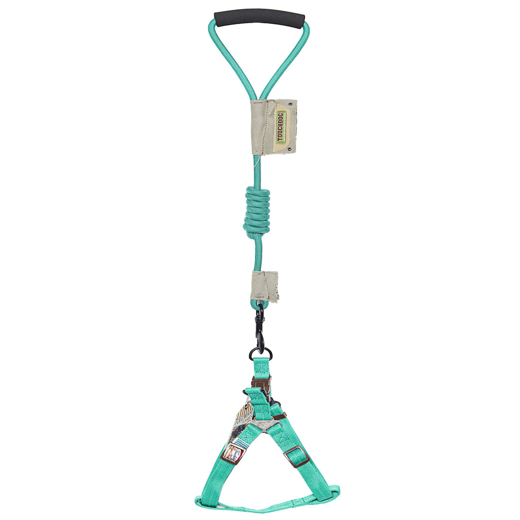 Faded-Barker 2-in-1 Fashion Dog Leash and Harness