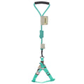 Faded-Barker 2-in-1 Fashion Dog Leash and Harness