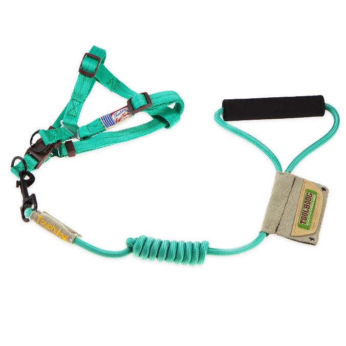 Faded-Barker 2-in-1 Fashion Dog Leash and Harness