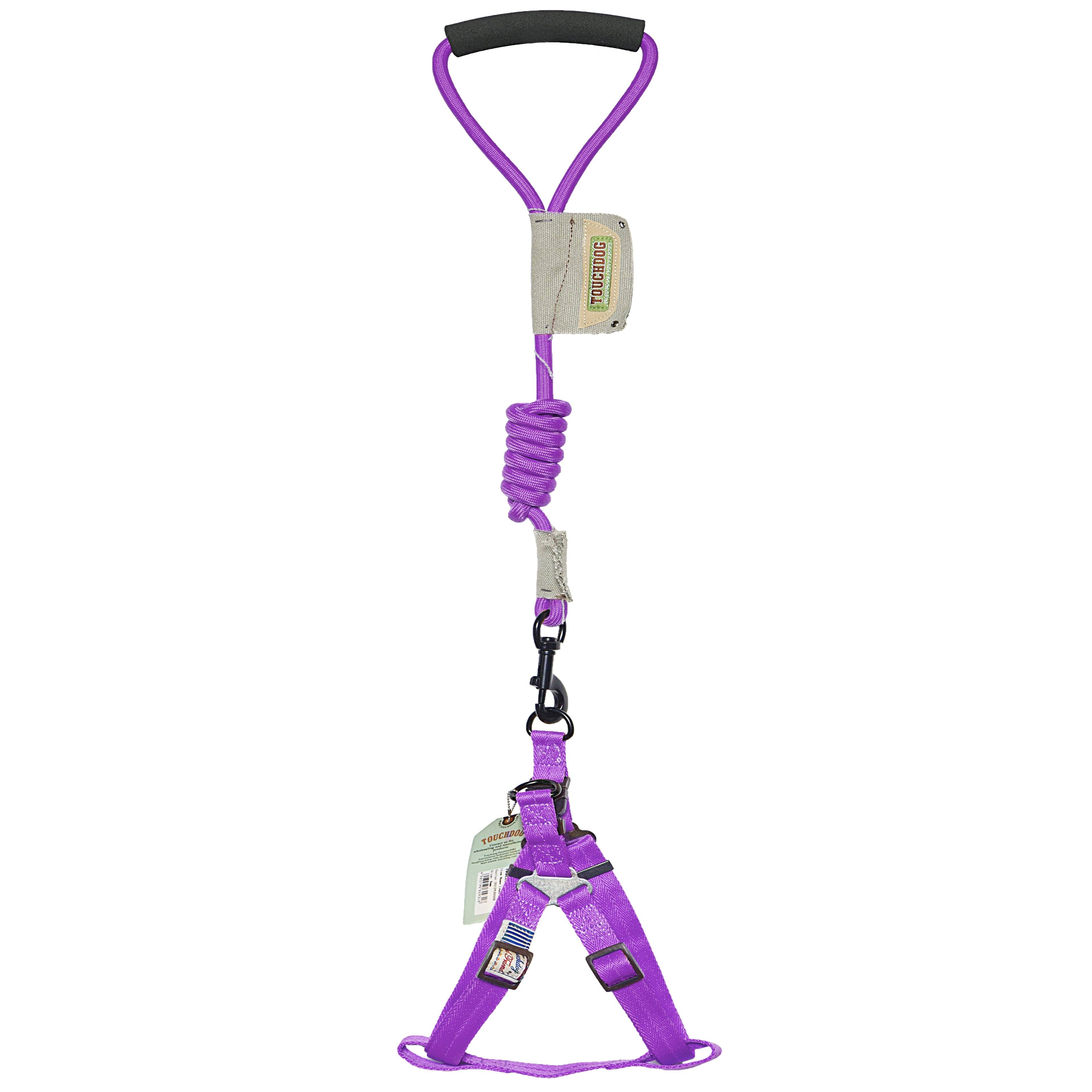 Faded-Barker 2-in-1 Fashion Dog Leash and Harness