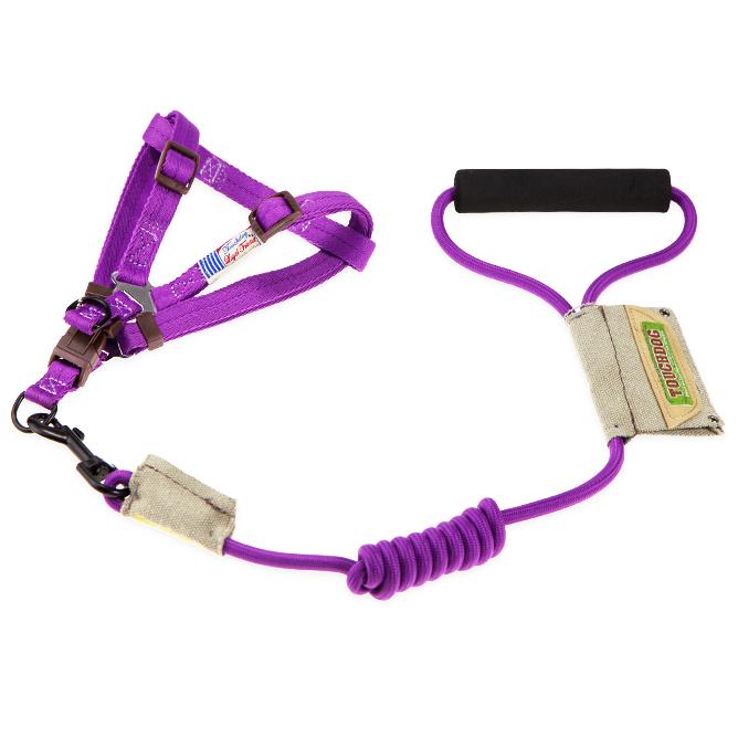 Faded-Barker 2-in-1 Fashion Dog Leash and Harness