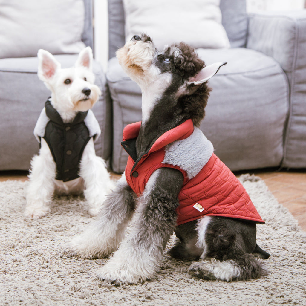 Furrost-Bite Fur and Fleece Designer Fashion Dog Jacket