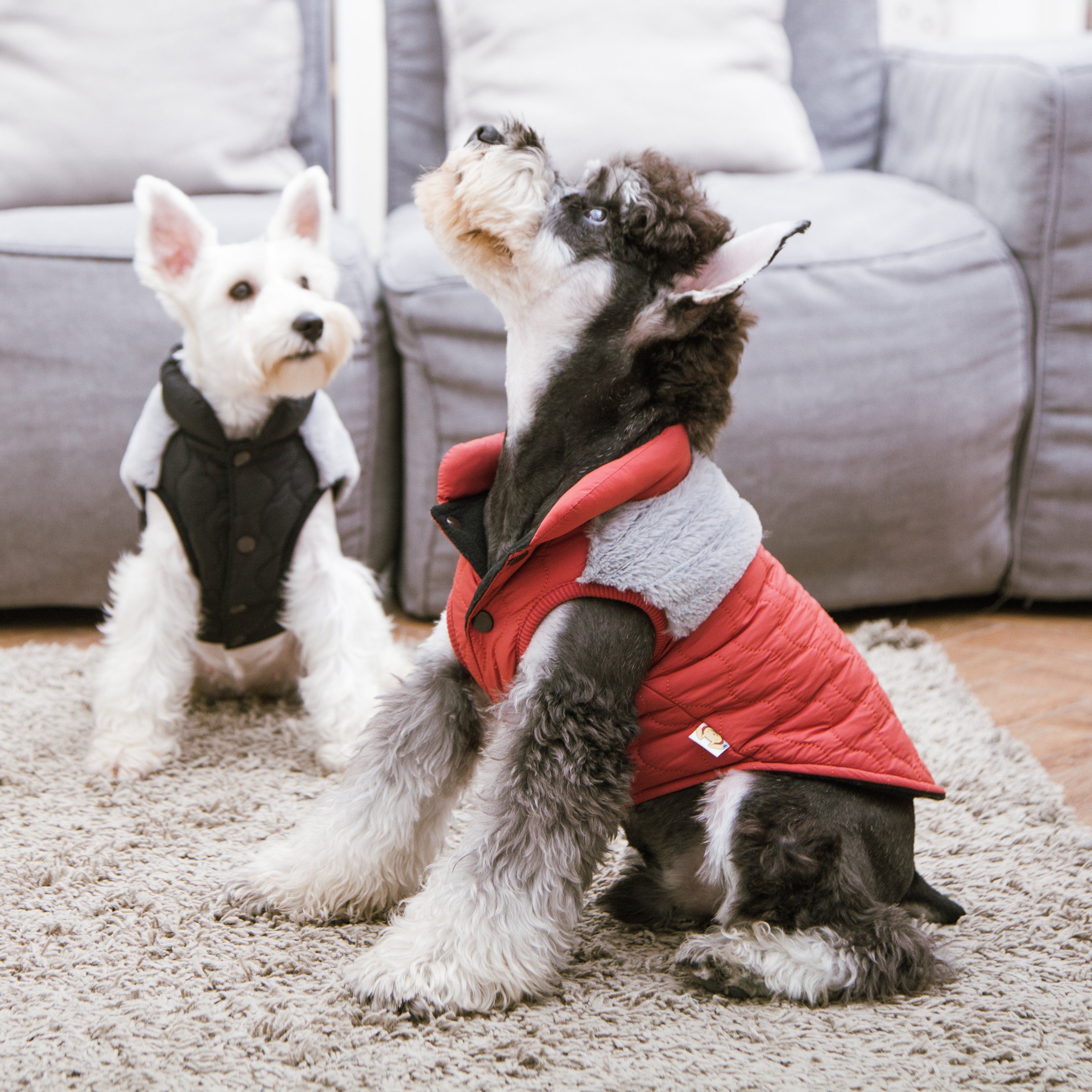 Furrost-Bite Fur and Fleece Designer Fashion Dog Jacket