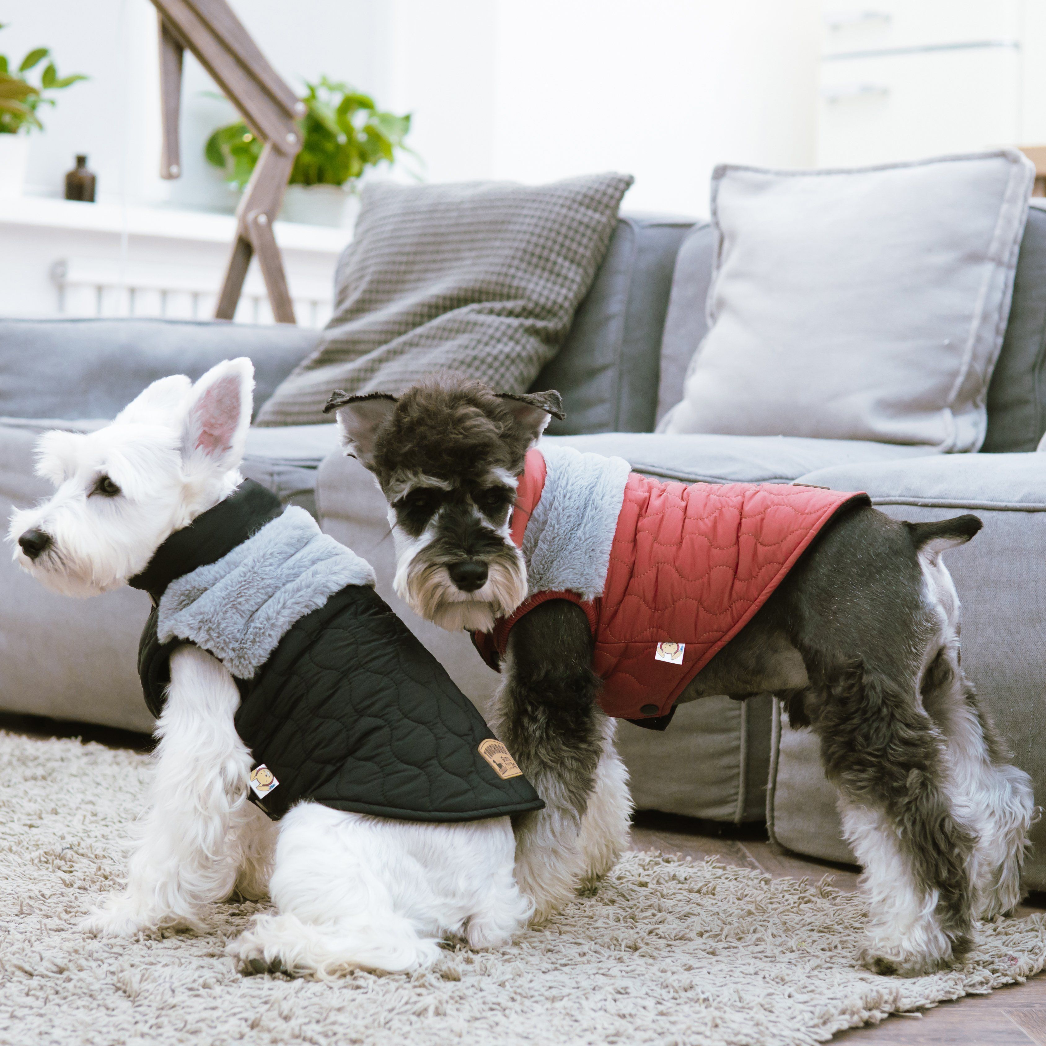 Furrost-Bite Fur and Fleece Designer Fashion Dog Jacket