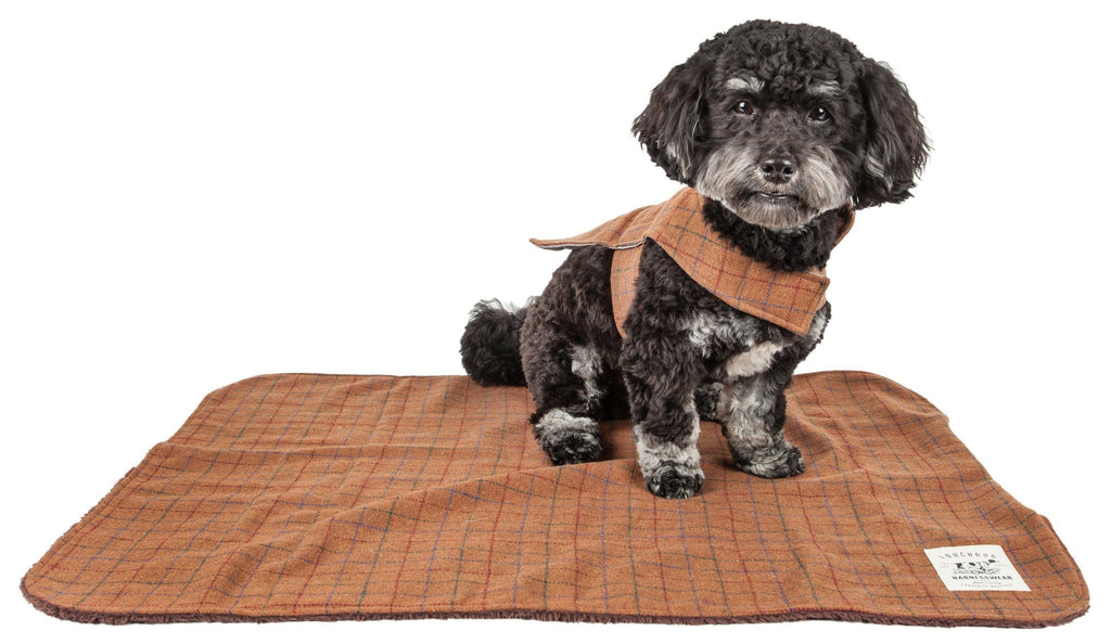 2-in-1 Windowpane Plaid Dog Jacket and Matching Reversible Dog Mat