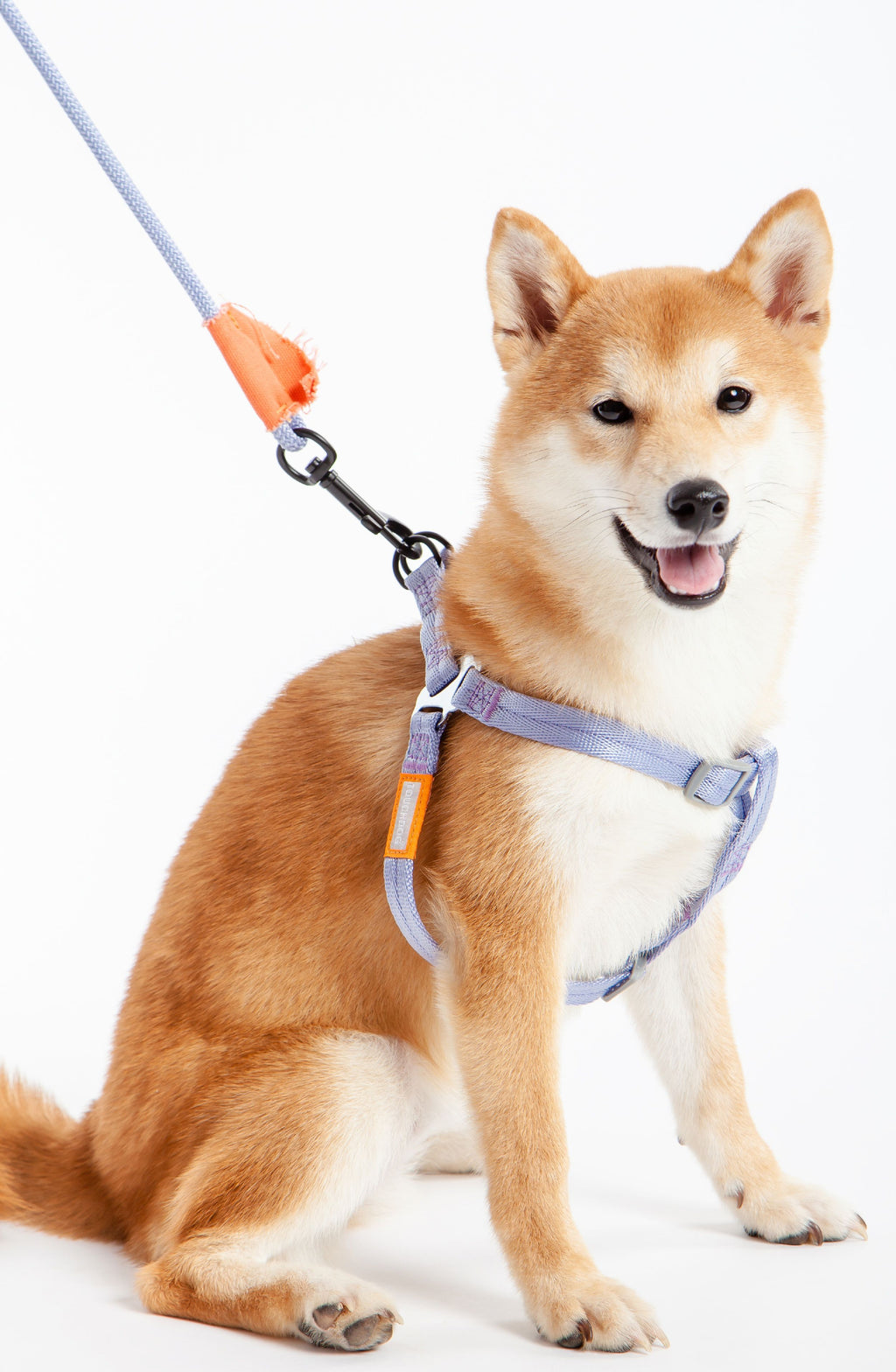 Macaron 2-in-1 Durable Nylon Dog Harness and Leash