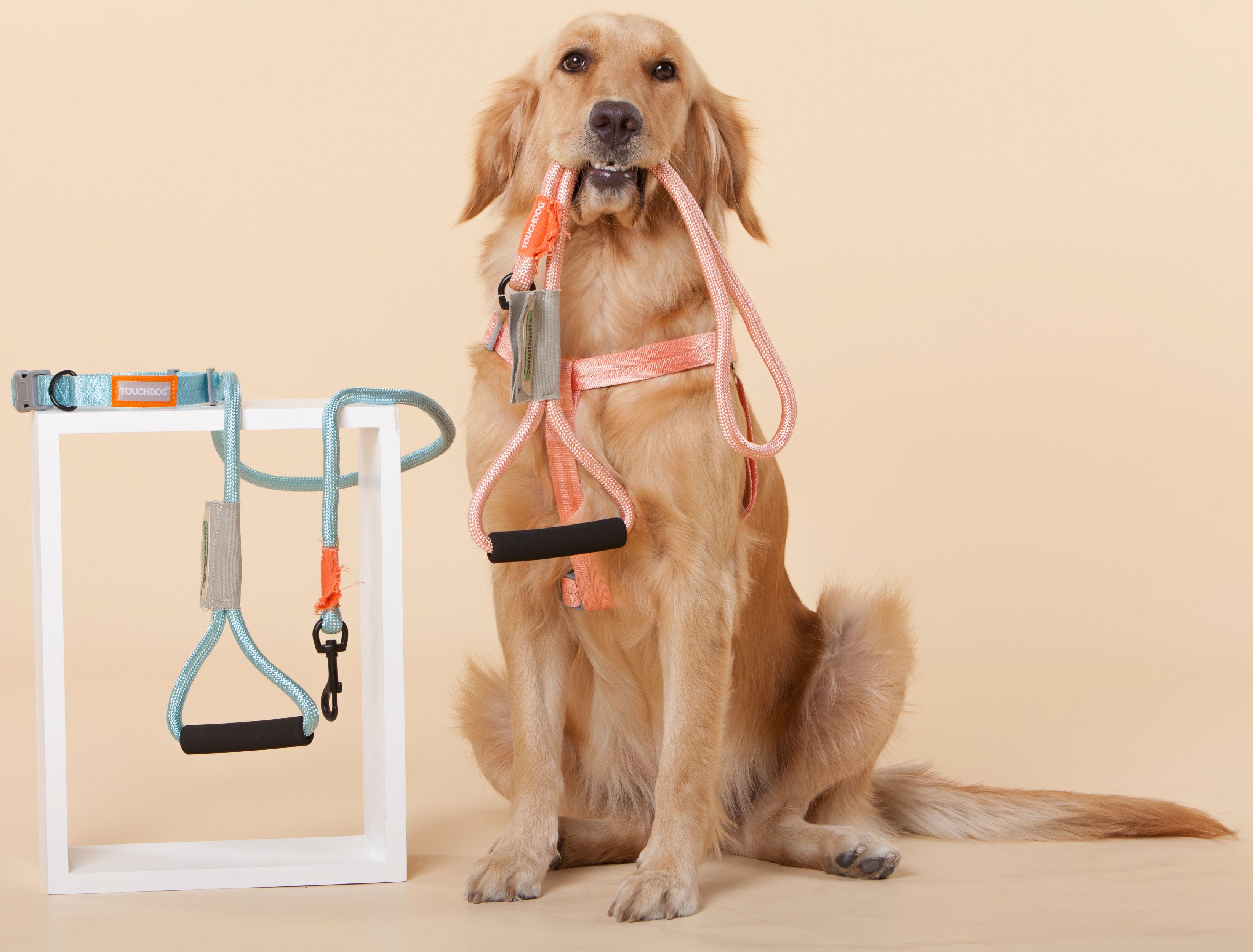 Macaron 2-in-1 Durable Nylon Dog Harness and Leash