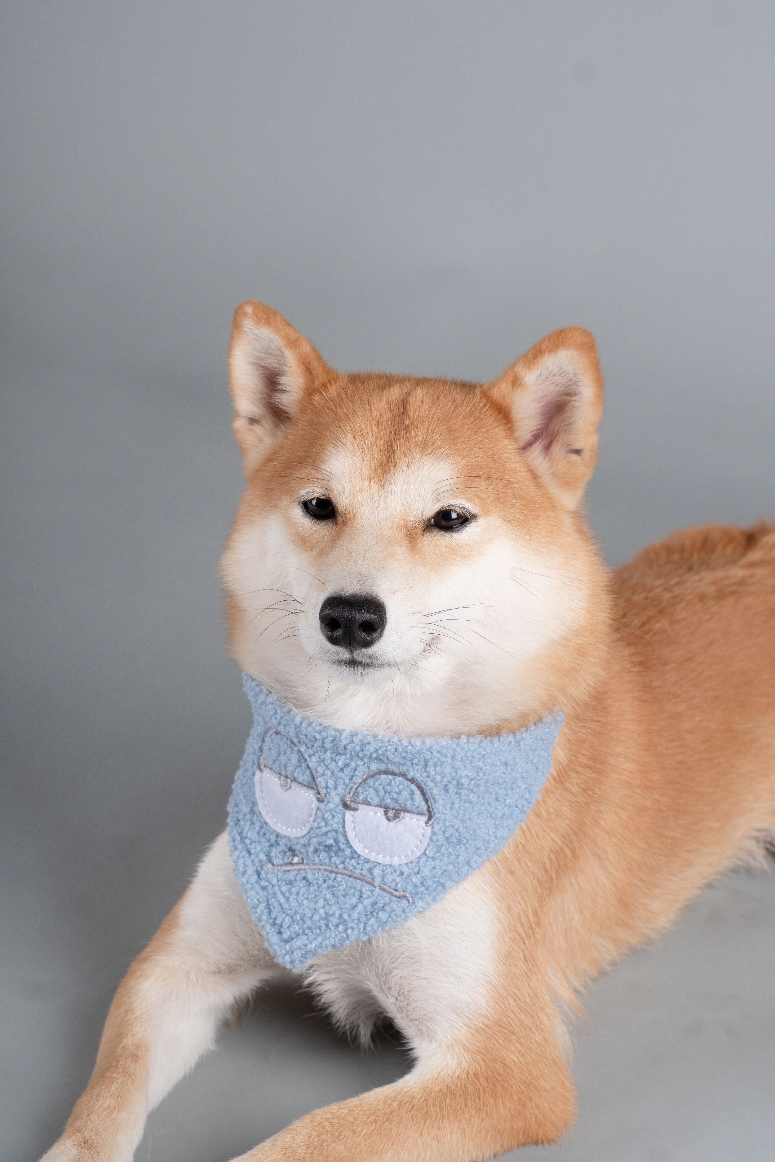 Macaron 2-in-1 Durable Nylon Dog Harness and Leash
