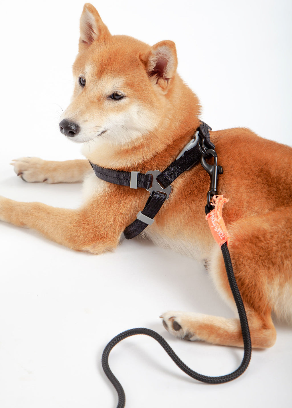 Macaron 2-in-1 Durable Nylon Dog Harness and Leash