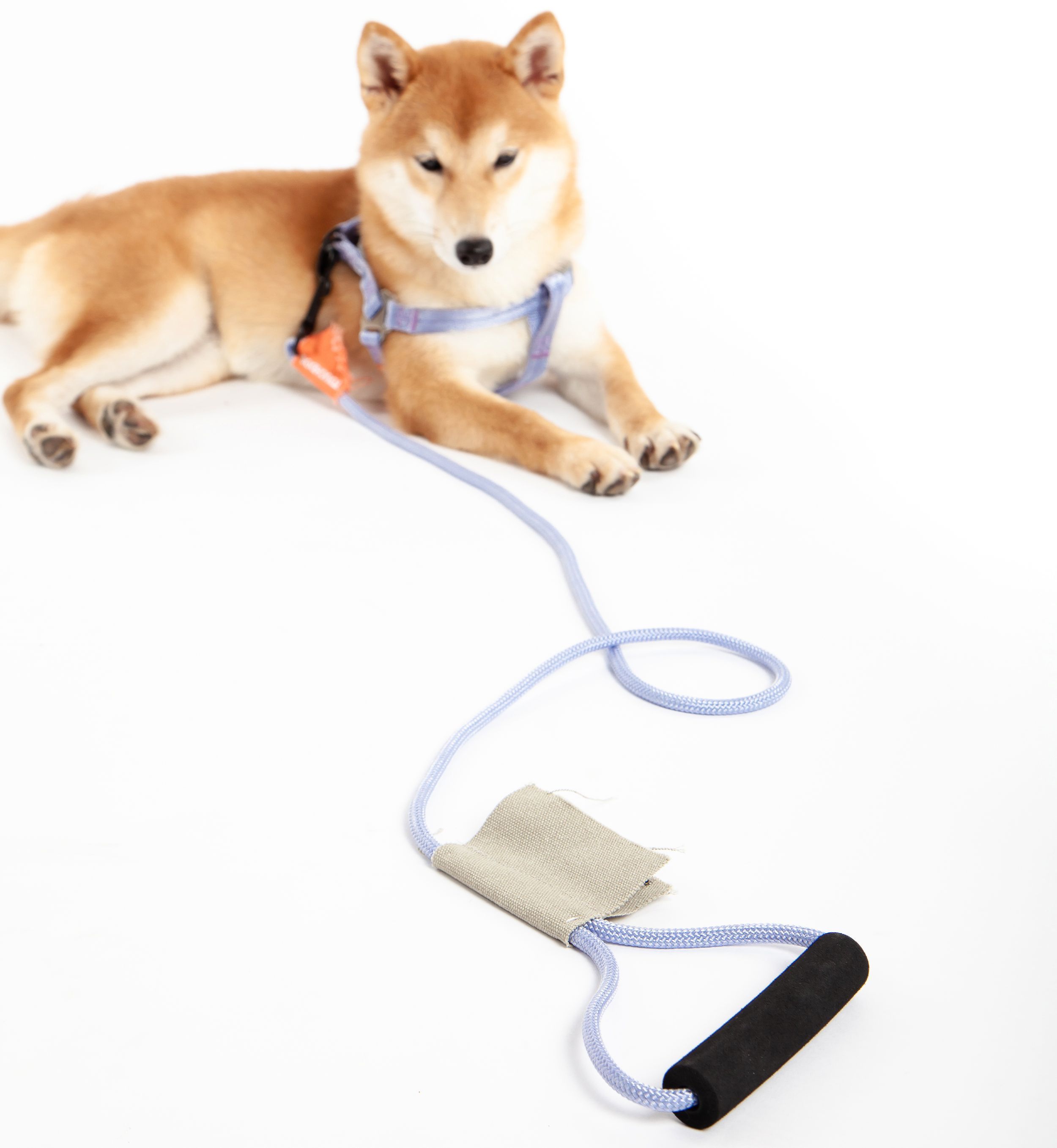 Macaron 2-in-1 Durable Nylon Dog Harness and Leash