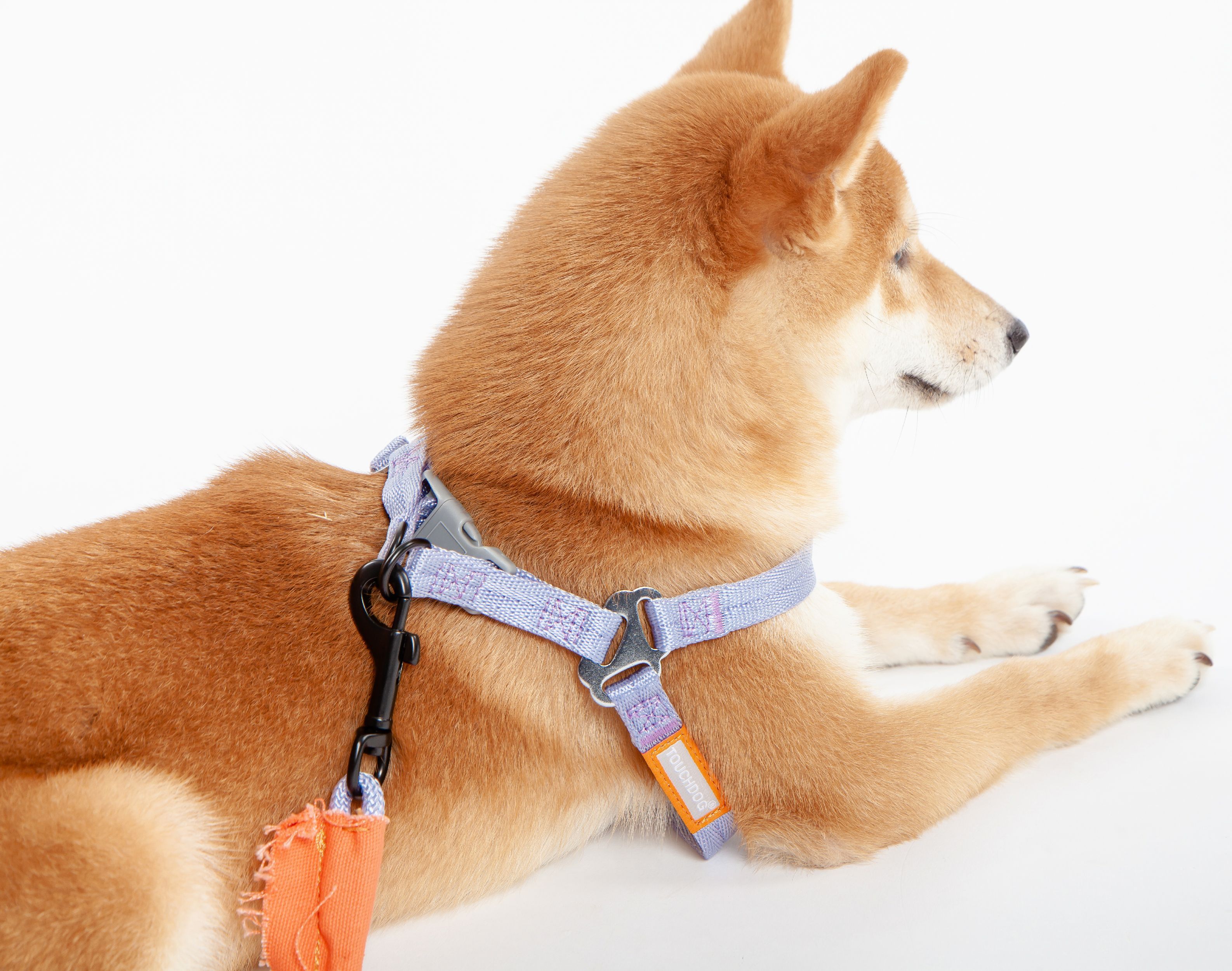 Macaron 2-in-1 Durable Nylon Dog Harness and Leash