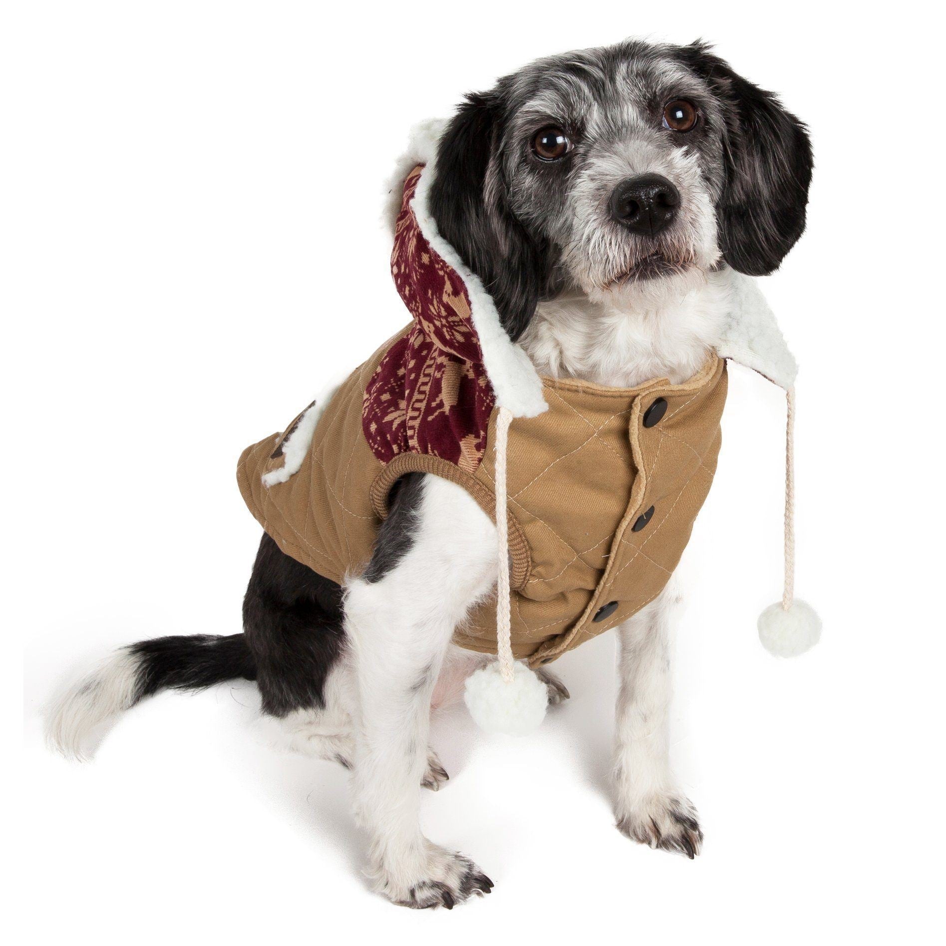 Snowadayz Pom Pom Hooded Fashion Dog Jacket
