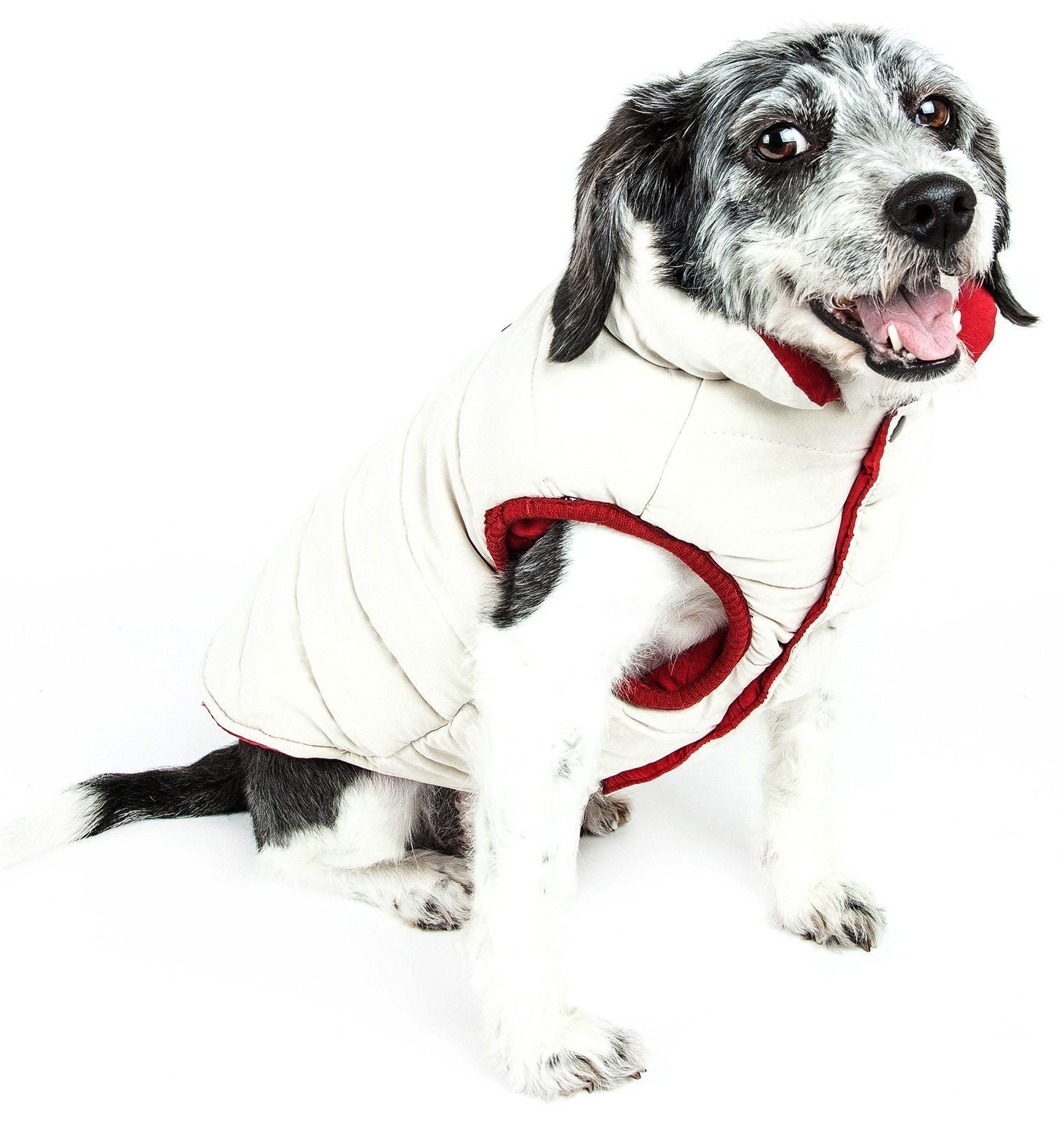 Waggin Swag Ultra-Plush Insulated and Reversible Dog Coat
