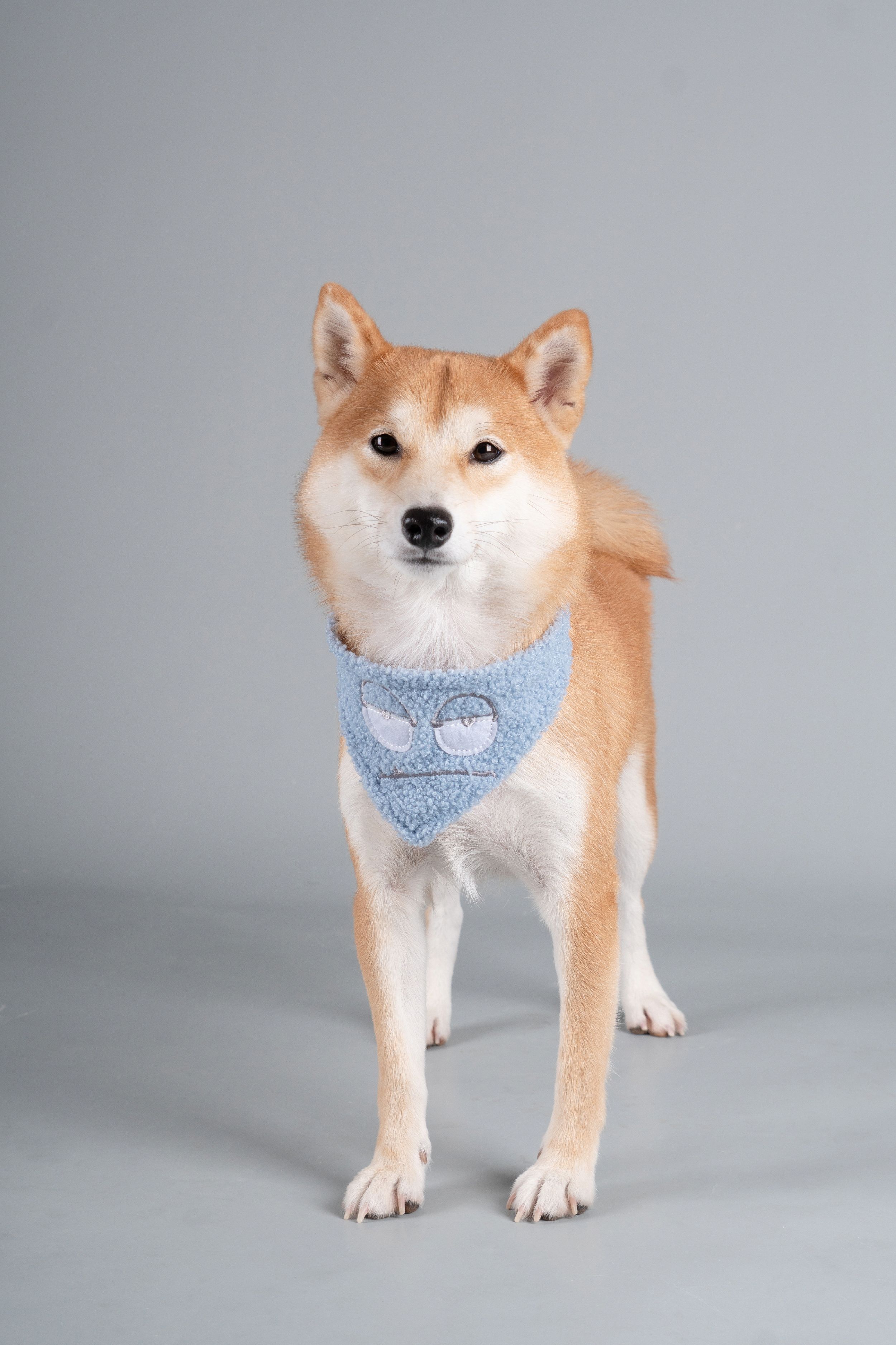 Dizzy-Eyed Cyclops Cotton Hook-and-Loop Dog Bandana and Scarf