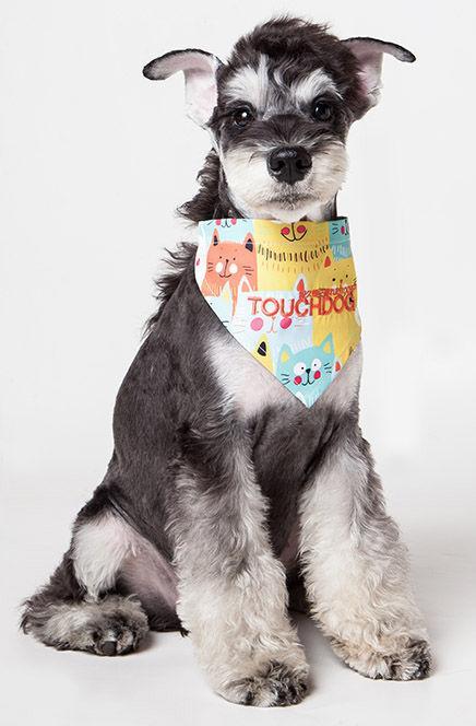 Head-Popper Fashion Designer Printed Hook-and-Loop Dog Bandana
