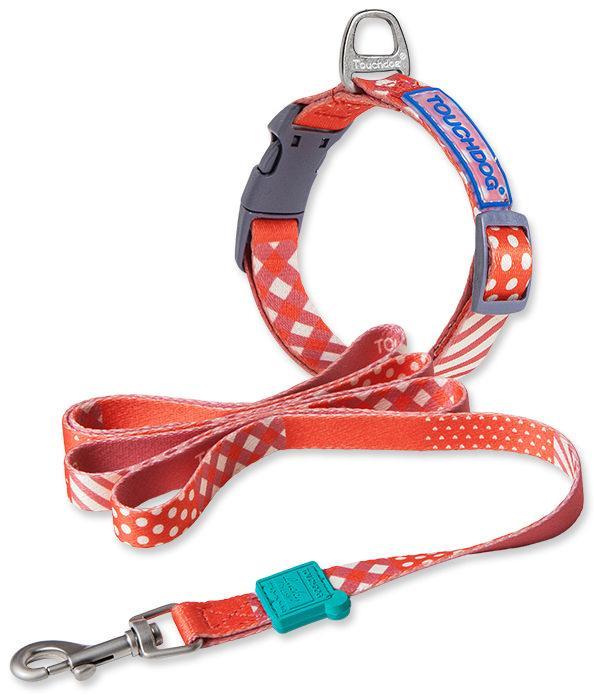 Trendzy 2-in-1 Matching Fashion Designer Printed Dog Leash and Collar