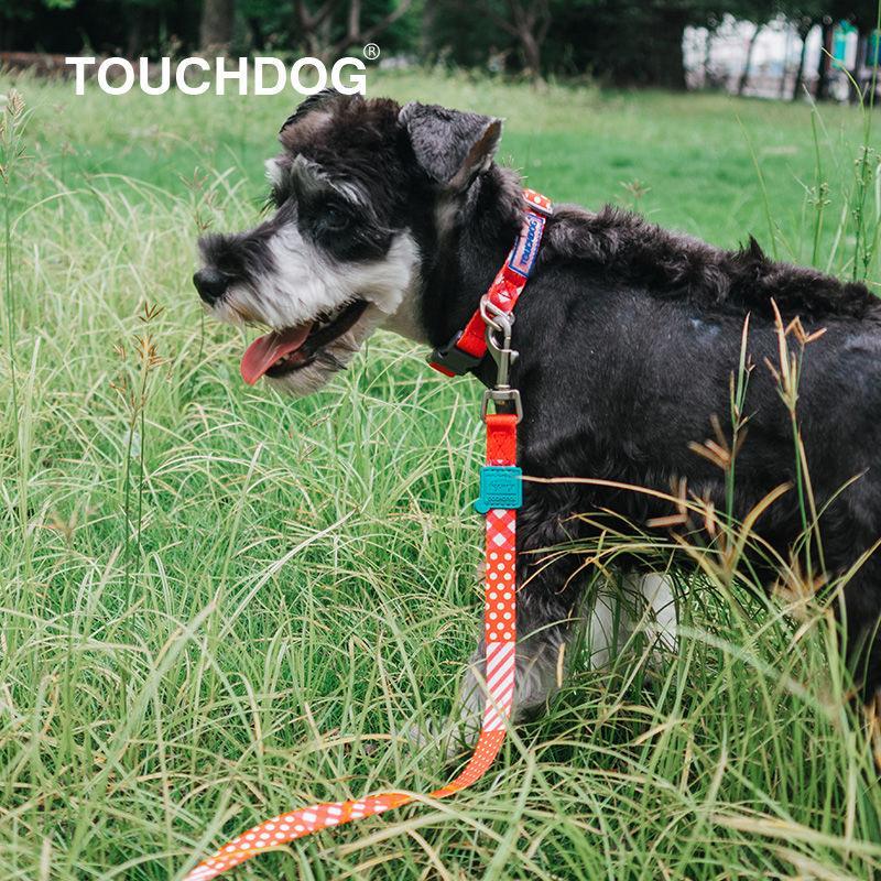 Trendzy 2-in-1 Matching Fashion Designer Printed Dog Leash and Collar