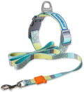 Trendzy 2-in-1 Matching Fashion Designer Printed Dog Leash and Collar