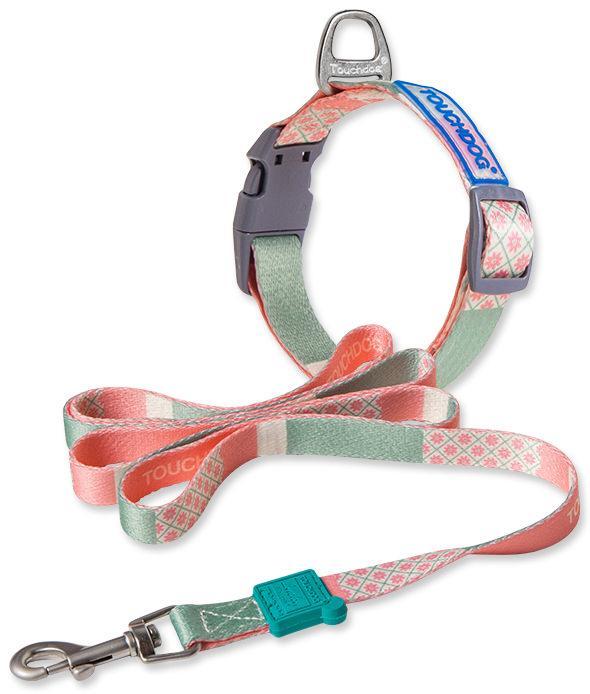 Trendzy 2-in-1 Matching Fashion Designer Printed Dog Leash and Collar