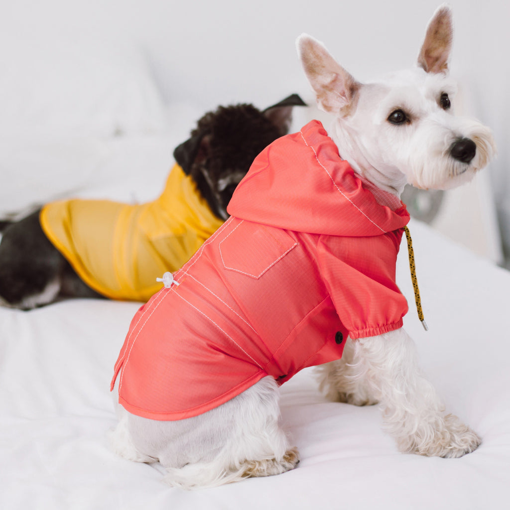 Split-Vent Designer Waterproof Dog Raincoat