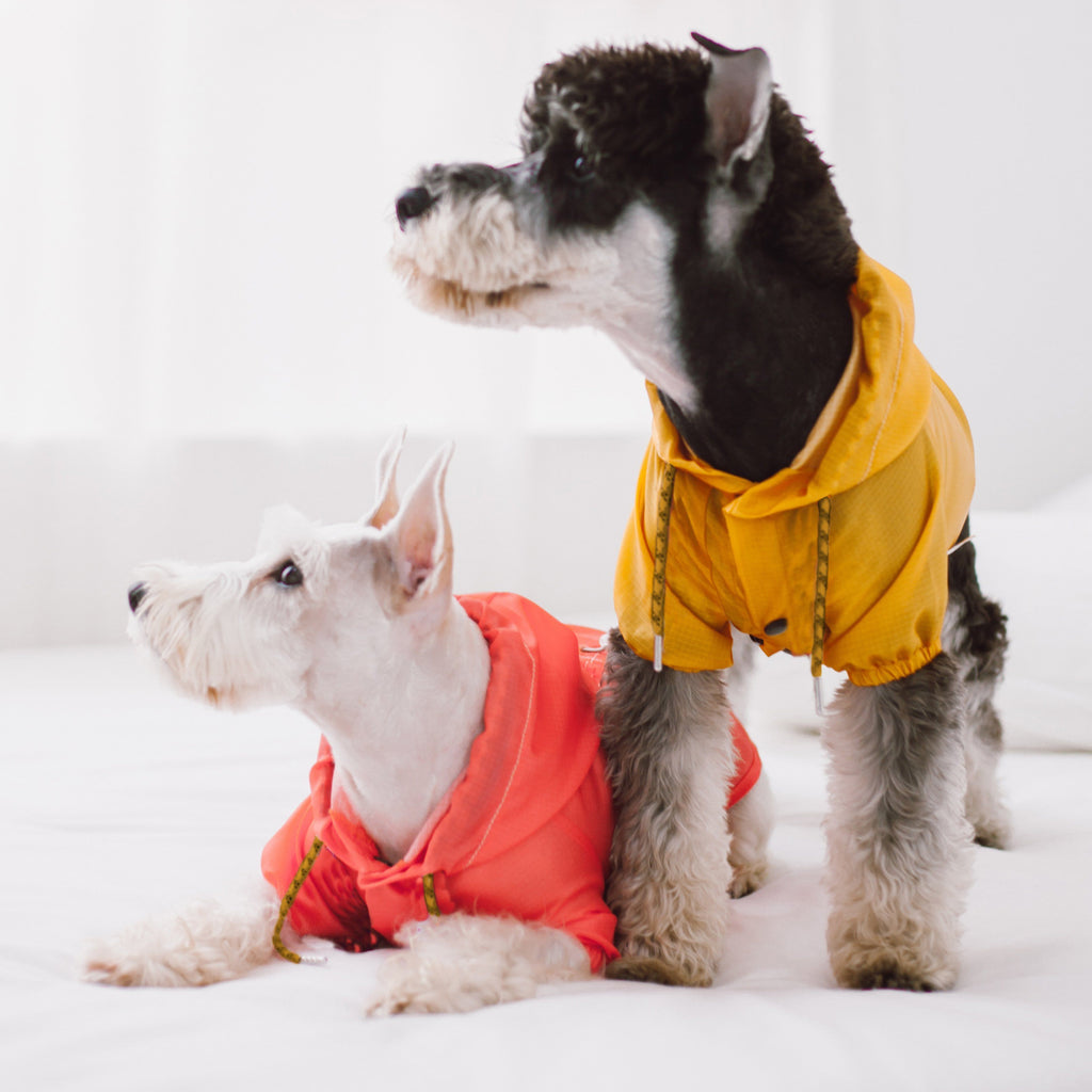 Split-Vent Designer Waterproof Dog Raincoat