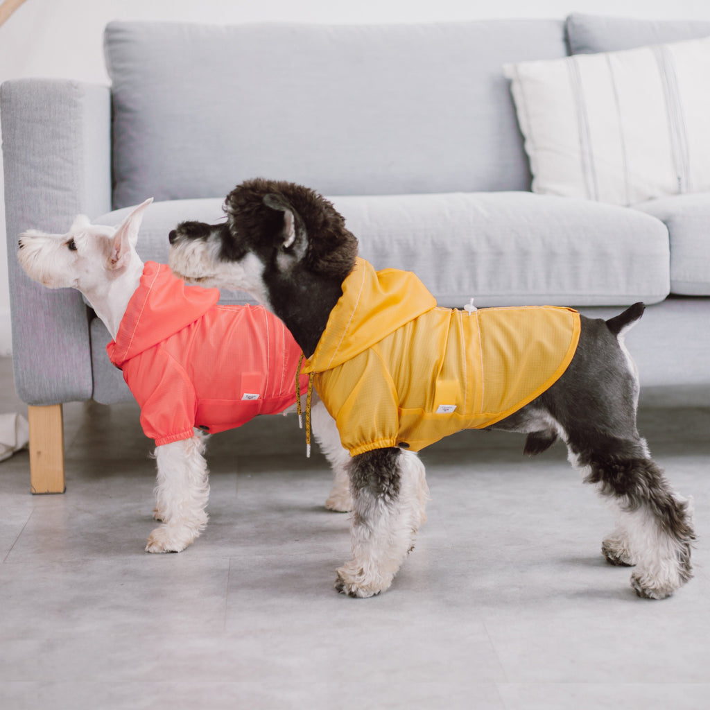 Split-Vent Designer Waterproof Dog Raincoat