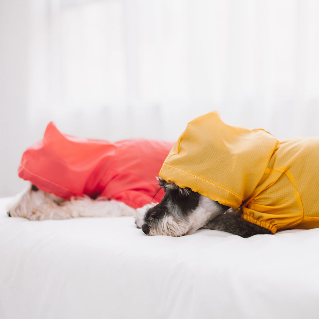 Split-Vent Designer Waterproof Dog Raincoat