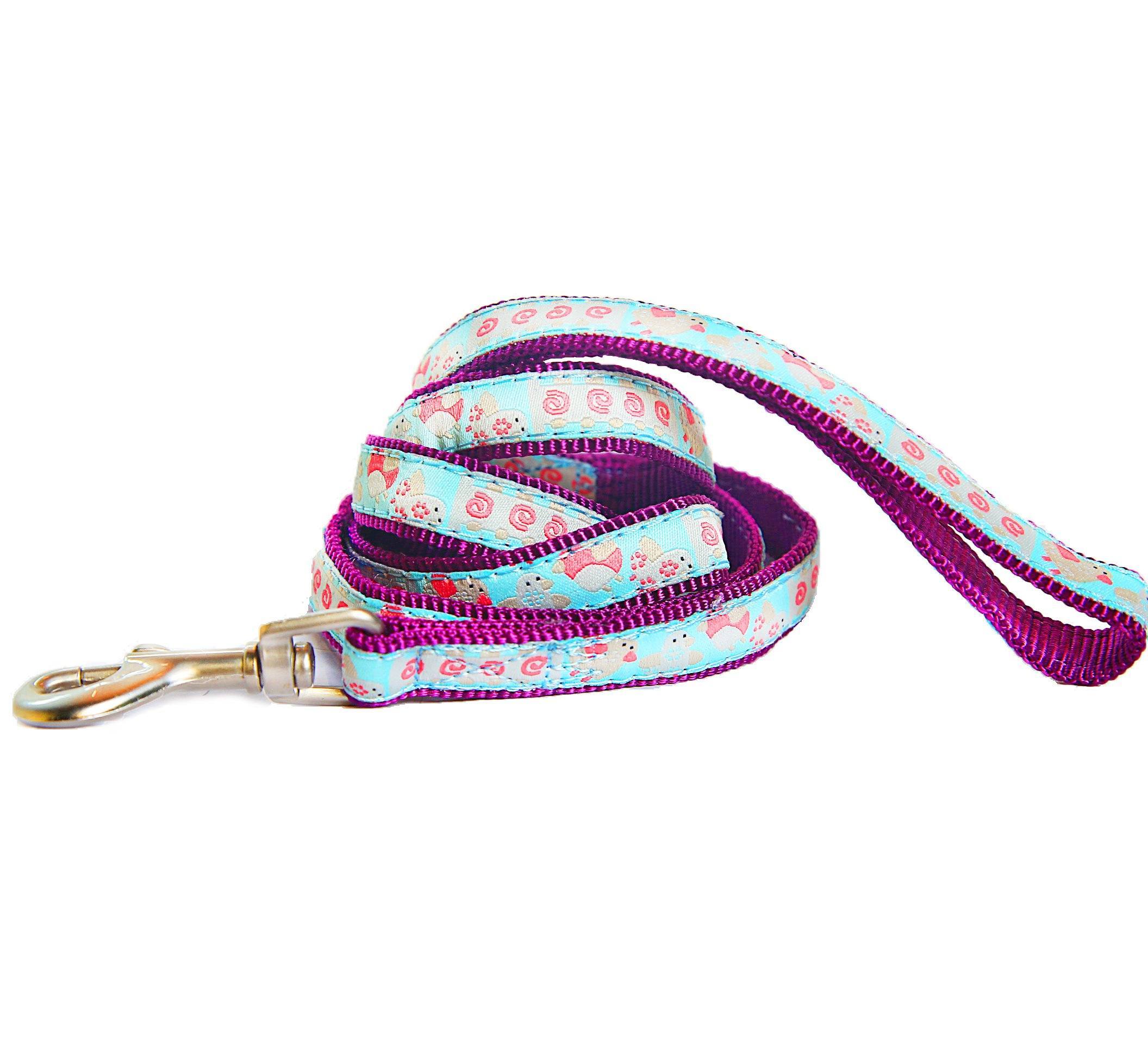 Tough Stitched Durable Embroidered Leash and Harness – Blue